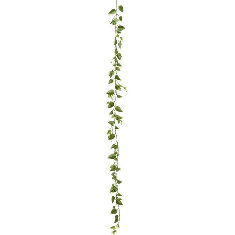 Guirlande Pothos Artificiel "Bellan" 180cm Vert