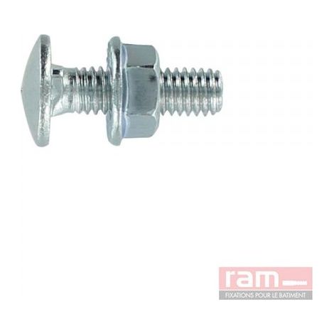 Ram   93426   BTE P 100 BOULONS TRCC 6x16