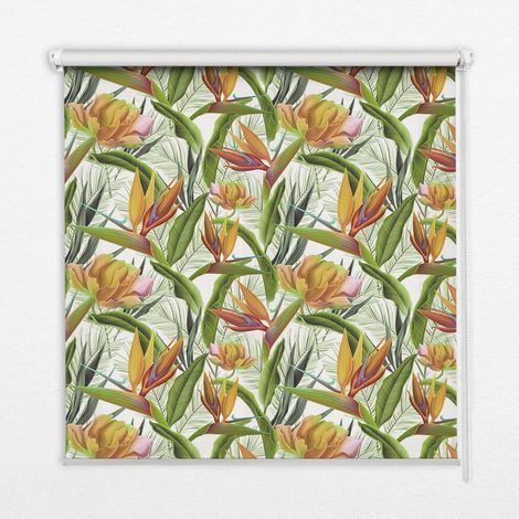 Tenda a Rullo Interna per Finestra - Tenda Filtrante Luce - Tenda Privacy - Tenda Decorativa Rettangolare - Rullo per Interni - (100 cm x 100 cm) - Piante esotiche (1/5)