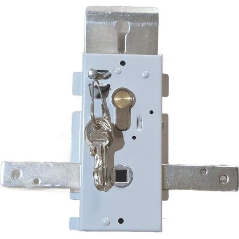 Serrure avec cylindre RAL 7035 porte N80, S95 et G97 Hormann (1/2)