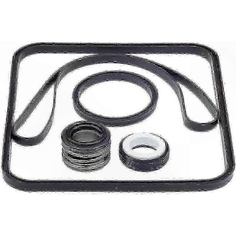 Dichtung für Hayward SPX1600 Poolpumpe, kompatibles Ersatzteil für SP1600Z2, PS-201, SPX1600R, hochwertiger O-Ring, wasserdichter Ersatz, langlebiges Filterzubehör (1/5)