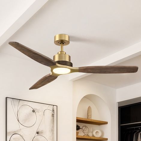 Parrot Uncle Ventilateur Plafond LED 142 cm avec Éclairage, Ventilateur Plafond Silencieux Moteur DC Réversible, Télécommande 6 Vitesses, 3 Pales Bois Massif pour Salon Chambre