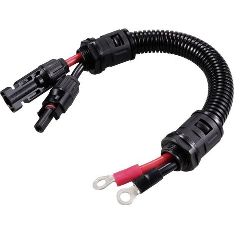 Spina solare su capicorda ad occhiello M6 lunghezza cavo 250 mm TC-12195640 Nero, Rosso TRU COMPONENTS Contenuto: 1 pz.