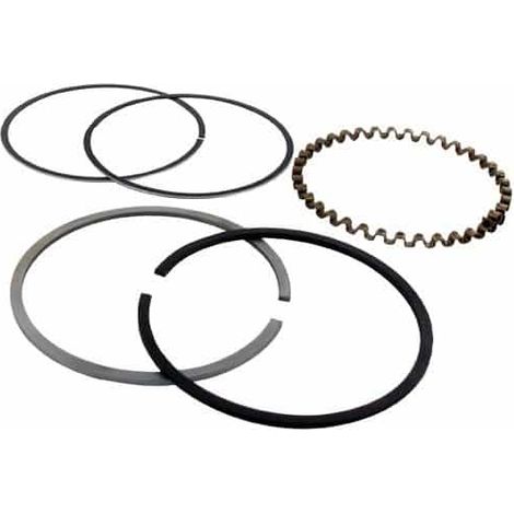 Segments KOHLER 235891 - 48-108-03 modèles K-301 - 12 ch