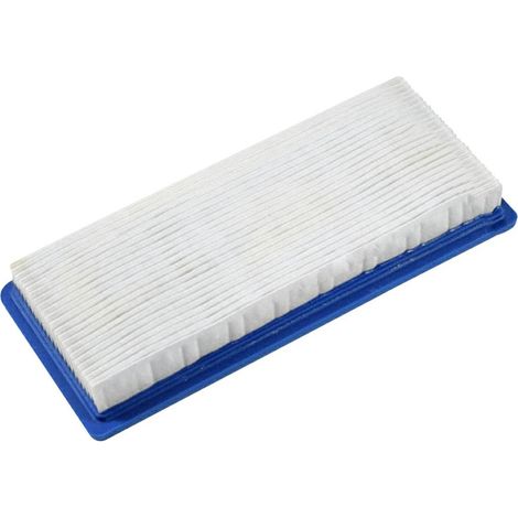 Filtro aria trattorino rasaerba per VANGUARD 9 HP BRIGGS & STRATTON 491384
