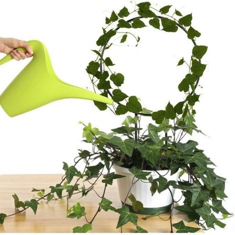 Treillis De Jardin en Métal pour l'escalade De Plantes - - 2PCS - Noir (1/4)