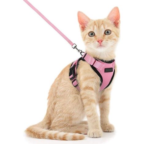 Harnais pour chat réglable avec laisse de 150 cm - convient aux chats de petite, moyenne et grande taille, adultes et chiots - harnais pour chat, rose (1/5)