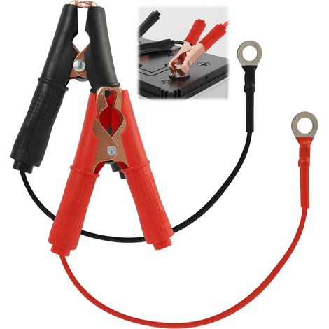 Pinces Crocodile avec Câble 1 m, Lot de 2 Pinces 30 A pour Batteries 12 V et 24 V, Câbles de Démarrage avec Isolation Ignifugée, pour Voiture et Moto (1/5)