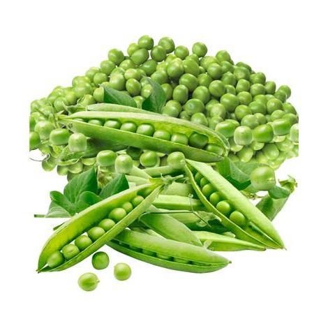 POIS PRECOVIL - 150 G