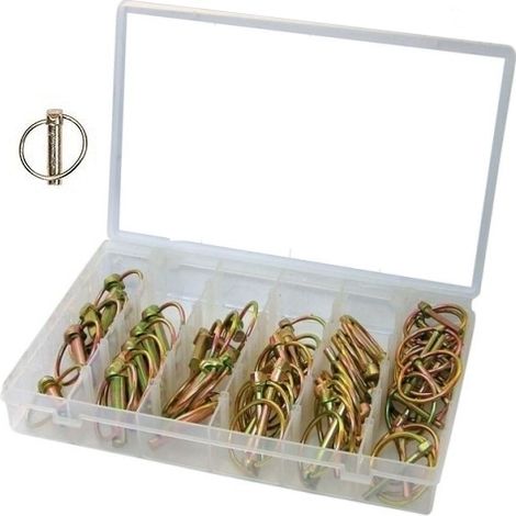 Assortimento Spine a scatto/Coppiglie ad anello/Perni/Spinotto 50 pezzi in valigetta