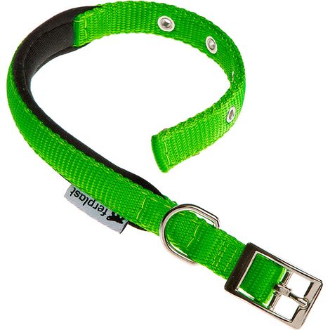 collare in nylon modello c20/43 imbottito per cane in colore verde.
