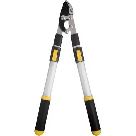Scateur Long Po pour arbres fruitiers idal pour le jardinage (1/5)