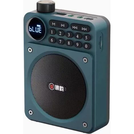 Mini radio FM de poche avec affichage LED, récepteur radio numérique, enceinte Bluetooth portable, amplificateur, lecteur de cartes TF, lecteur de clés USB et lecteur MP3 (1/5)