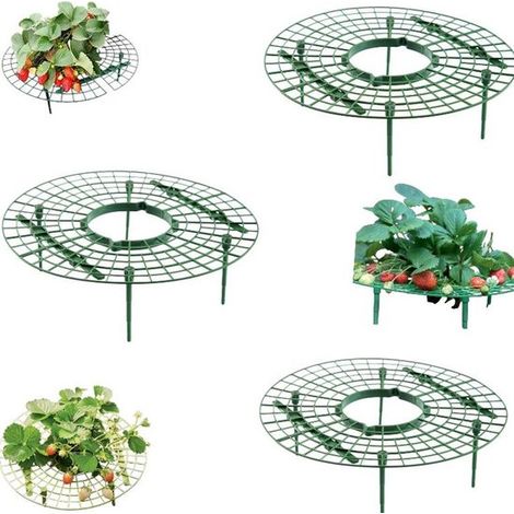 3 pièces - Support à fraises - Support pour fraisiers - Protection anti-limaces - Plateaux de culture verts pour fraises - Outils et équipements agricoles - Pour la culture des fraises en plein champ (1/5)