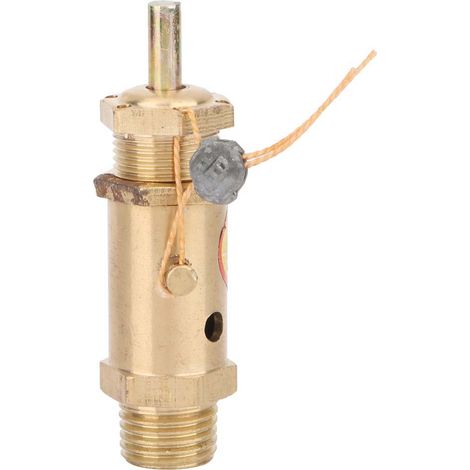 G1/4 Sicherheits-Druckentlastungsventil für Luftkompressoren und Dampferzeuger (5 kg) (1/5)
