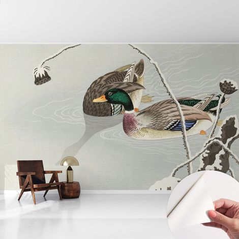 Selbstklebend Tapete modern Wohnzimmer - Wanddekoration - einfach anzubringen Ruhige Enten 416x254 cm (1/5)