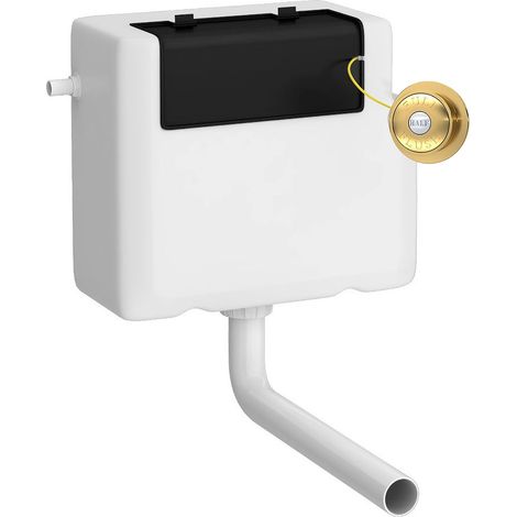 Universal Water Saving Dual Flush Side Inlet & Traditional Push Button - Brushed Brass/White