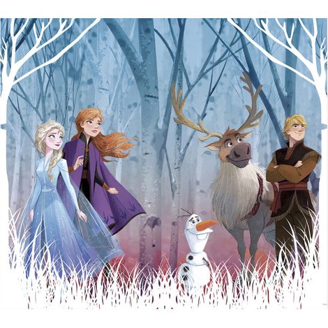 Rideaux - Disney La Reine des Neiges 2 - modèle dessin - 2 pièces 90 cm x 160 cm (1/5)