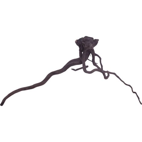 XL Black Spider Wurzel Nr.3738 Fingerwurzel Echtholz Deko Aquascaping
