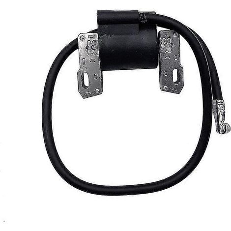 Kit de bobine d'allumage et de bougie pour moteurs Briggs & Stratton 398811, 398265, 395492, 395326 et 39496 (1/5)