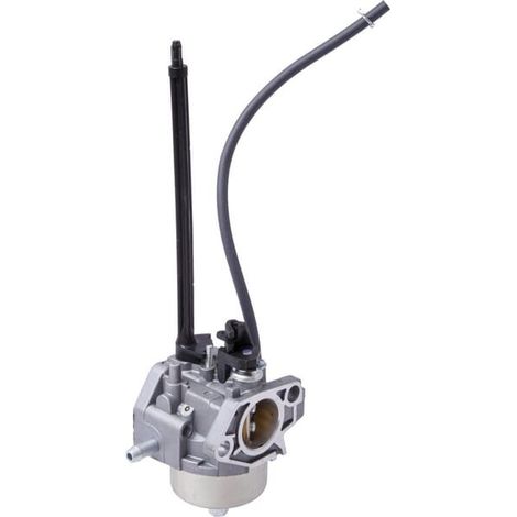 Carburateur BRIGGS horizontal lawn tractor engine 25D-25M137 snow blower (1/3)