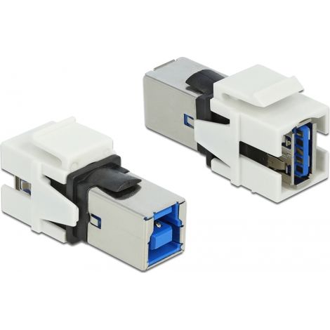 Delock MÃ³dulo Keystone USB 3.0 A hembra  USB 3.0 B hembra bÃ­lÃ¡
