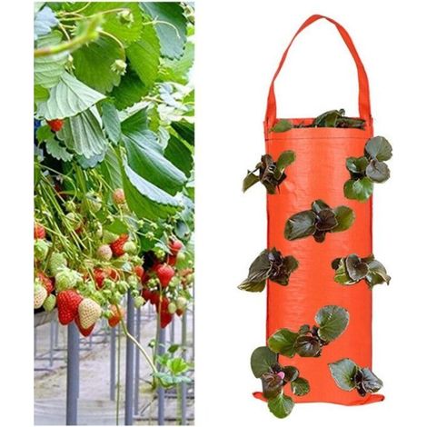 1 inverted grow bag for tomatoes/strawberries - 8 ventilation holes - Indoor/outdoor - Compact & eco-friendly (Orange) (1/5)