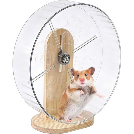 Roue pour Hamster De Petite Taille Accessoires Silencieux Aux Petits Roue De Course Silencieuse Pour Souris pour Maison Habitat Enclos Intérieur Chambre Animaux de Compagnie Nain Syrien (1/5)