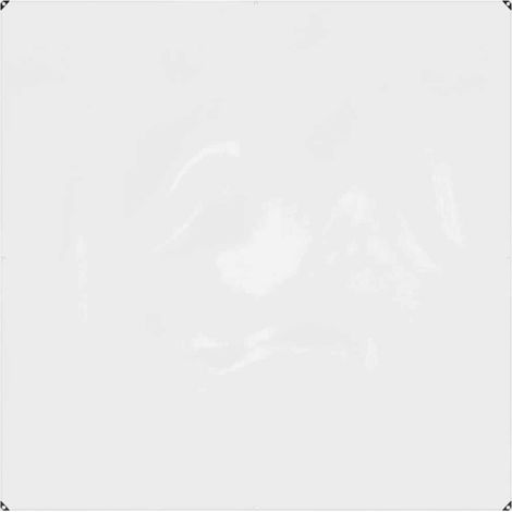 Lona transparente con ojales PVC 2x2 m vidaXL (1/5)