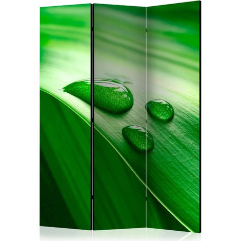 Paravent 3 Volets "Leaf & Three Drops of Water" 135x172cm (1/2)