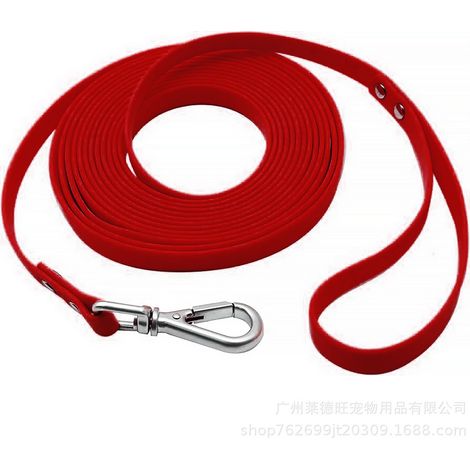 Laisse pour chien - Laisse d'éducation - Ultralégère et résistante à l'eau pour petits chiens et chats jusqu'à 3 kg - 5 m - Rouge (1/5)