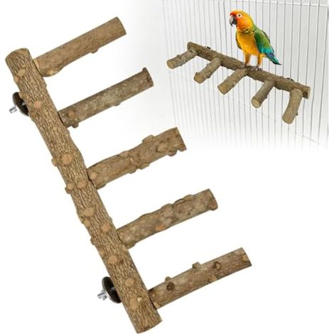 Perchoir pour Perroquet Échelle à Oiseaux à 5 Niveaux Échelle Naturelle en Bois d’Épine-Vinette – Diamètres Variés – pour Perruche, Calopsitte, Conure – Grimper, Mordiller, User Griffes (1/5)