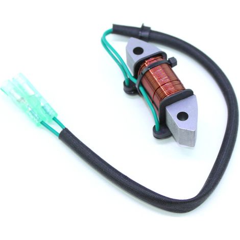S-giant Bobine d'éclairage pour moteur hors-bord Yamaha 2 temps 25HP/30HP - Compatible avec 61N-81313-09/61N-81313-00. (1/5)