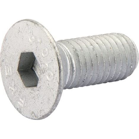 Tornillo avellanado M12x30-10,9 DIN7991 LEMKEN 3016128