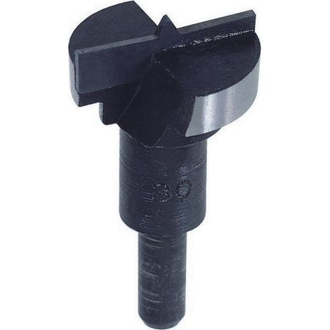 Fresa per cerniere mobili in metallo duro 35 mm 384.20 PG