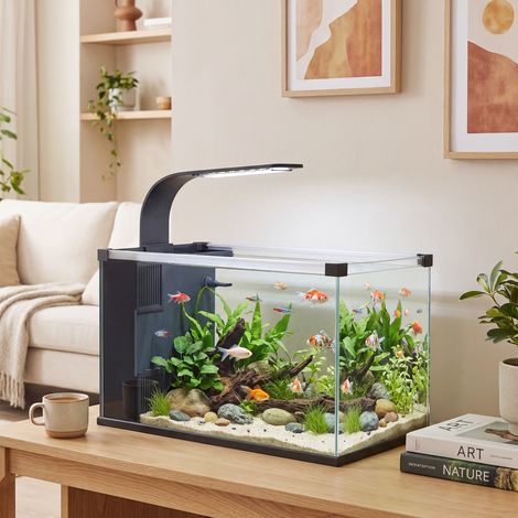 Acuario de vidrio templado de 24 litros con filtro, luz LED y bomba de agua.