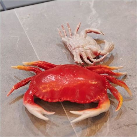 2 PCS Modèle de Crabe en Plastique Artificiel - Modèle de Simulation de Simulation Vie de la Vie réelle Simulable Grand Crab (1/4)