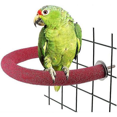 Perchoir en forme de U pour oiseaux, plateforme de jeu pour animaux de compagnie, bâtonnet de nettoyage pour griffes et sable, cage (1/5)