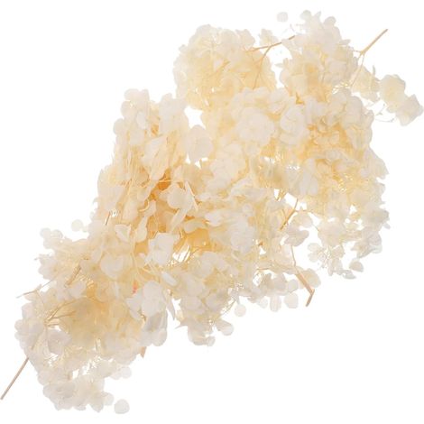 Pétales d'Hortensia Séchés Naturels Beige, 30G pour Décoration de Mariage, Confettis pour Centre de Table et Projets DIY de Fête (1/5)