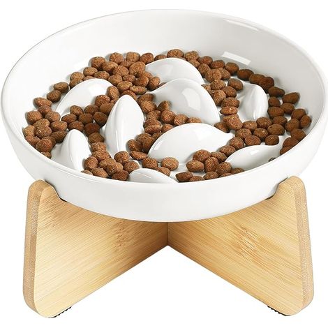 Raised Ceramic Cat Bowl Bamboo Support White Whale (1/5)