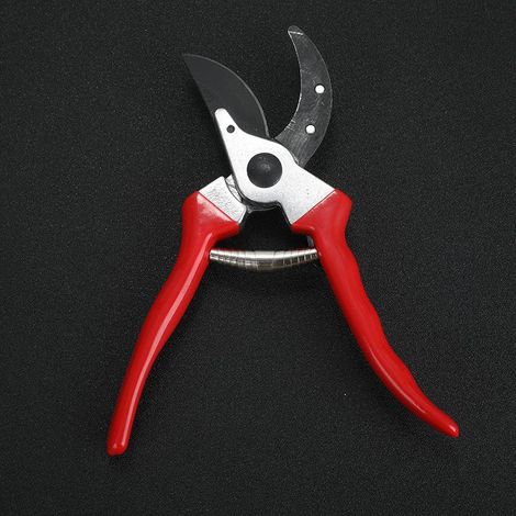 Coupe-branches ergonomiques pour grandes mains, 212 mm, diamètre de coupe 26 mm, gouttière à sève, poignées confortables (1/5)