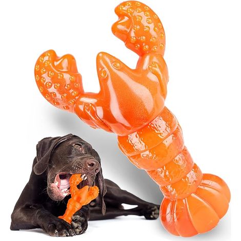 Jouets indestructibles pour chiens de grande et moyenne race, résistants et adaptés aux mâcheurs agressifs. Jouets en nylon pour grands chiens et os à mâcher durables pour la poussée dentaire. (1/5)