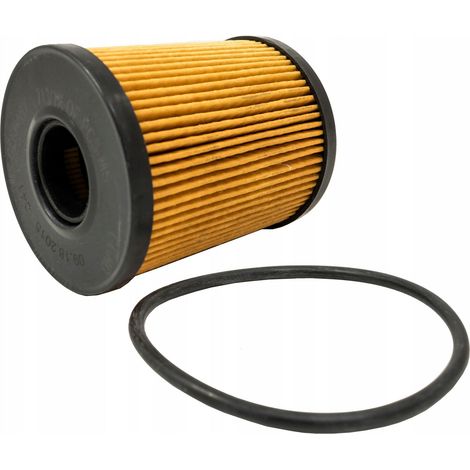 Filtro olio ALFA ROMEO CITROEN FIAT JEEP LANCIA OPEL PEUGEOT SUBARU SUZUKI (1/3)
