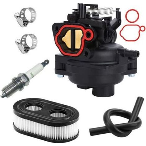 Carburateur de rechange pour moteurs Briggs & Stratton – Modèles 09P702-0145-F1 / 09P702-0098-F1, 140 cm3, compatible 550EX à 725EXI (1/5)