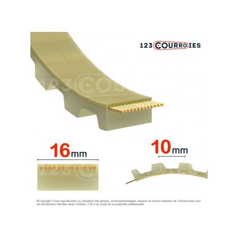 Courroie dentée ouverte 16T10-PUSTEEL