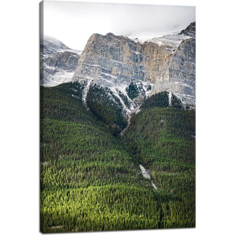 Leinwanddruck Natur Berghang Bäume 40x60