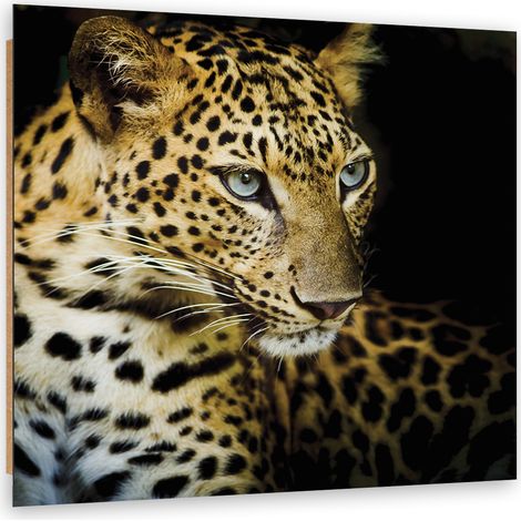 Quadro deco panel, Leopardo maestoso - 50x50 (1/5)