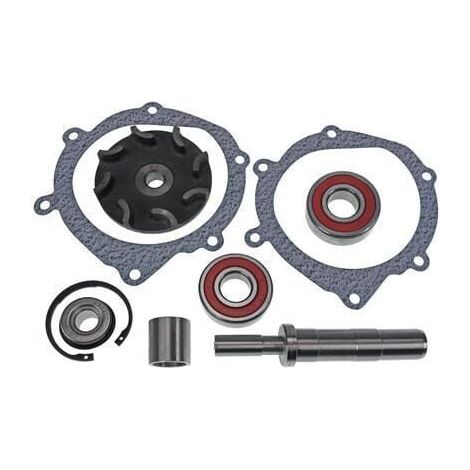Kit di riparazione pompa acqua VAPORMATIC VPE2074