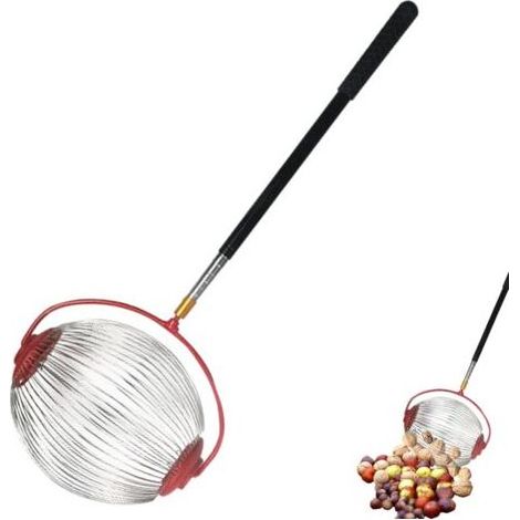 Récupérateur de Noix, Cueilleur de Noix, Collecteur de pommes, Ramasse Fruits en Noyer, Ramassez Les N-oix Grand Collecteur N-oix Rouleau Ramasse Châtaignes Noixs Outils Jardin Sélecteur Golf S (1/4)