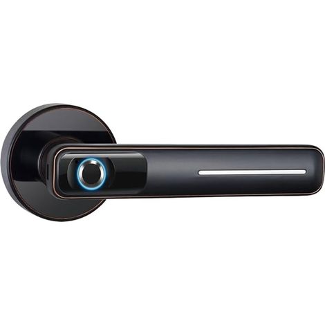Serrure de porte à empreintes digitales, poignée de porte intelligente à empreintes digitales pour chambre à coucher, bureau, hôtel, serrures de porte avec poignée-B (1/5)